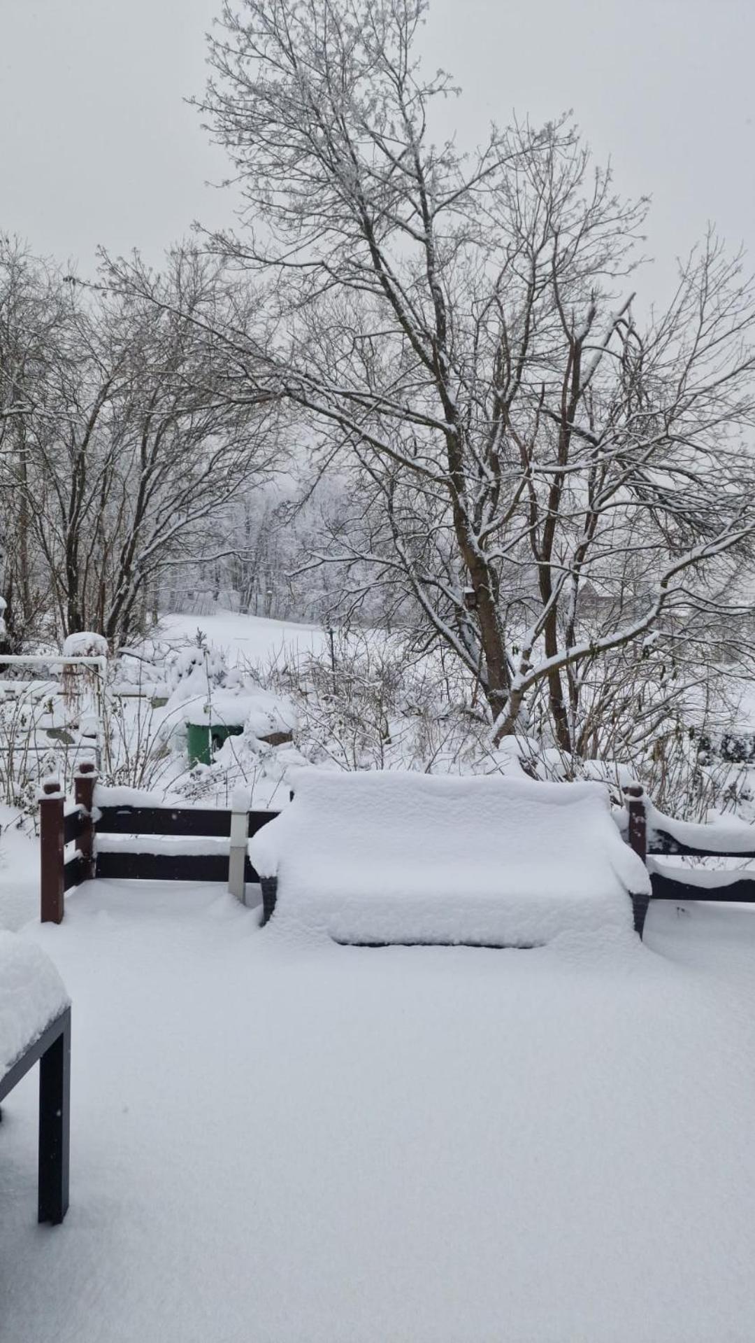 Mikes Fewo Braunlage Zewnętrze zdjęcie